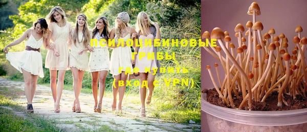 ешки Балахна